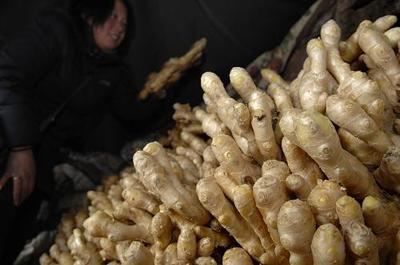 生姜大蒜批發(fā)價格大幅回落