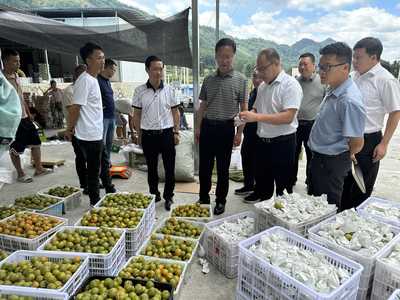 黔南州社:州政協(xié)調(diào)研全州推進供銷系統(tǒng)基層社恢復(fù)重建工作