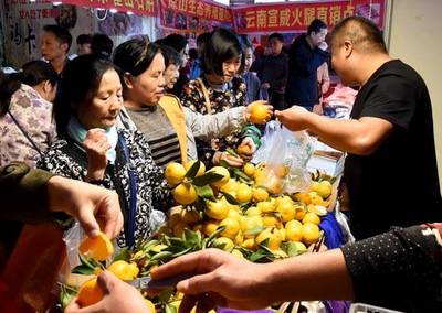 喜迎農民豐收節,百家農產品、服裝服飾廠商齊聚卓刀泉古玩城